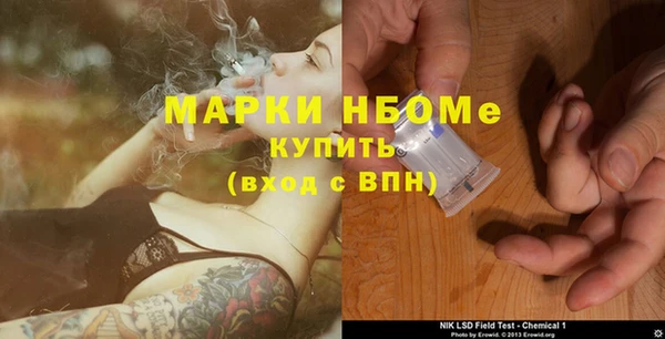 a pvp Ельня