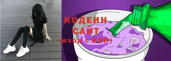 a pvp Ельня