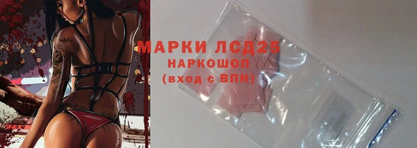 амф Елизово