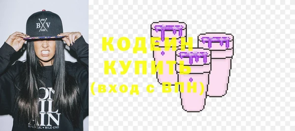 амф Елизово