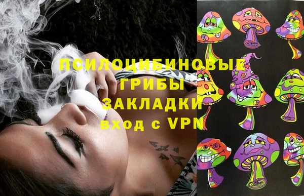 a pvp Ельня