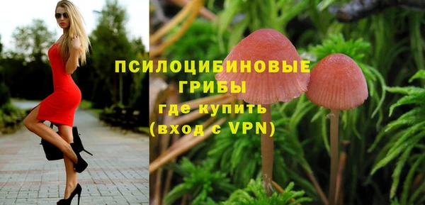 a pvp Ельня