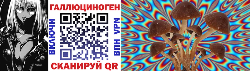 Купить  Юрга  Галлюциногенные грибы ЛСД 